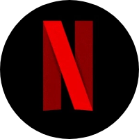 About Netflix | JobzMall